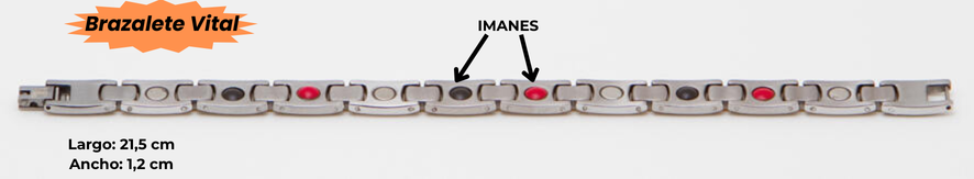 Brazalete Vital